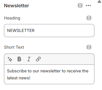Footer Newsletter Block Preview